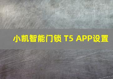 小凯智能门锁 T5 APP设置